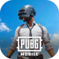 pubg mobile icon